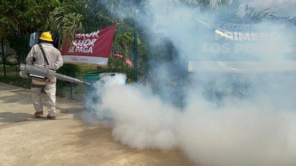 Confirmados 23 casos de dengue en Acapulco y Coyuca de Benítez tras el huracán Otis