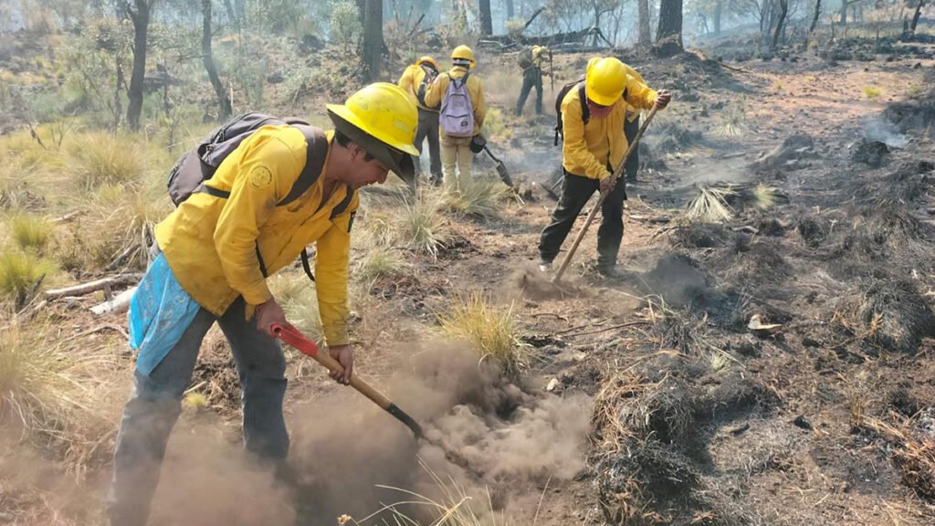 Cuatro incendios forestales activos en Morelos: Informe del Mando Unificado