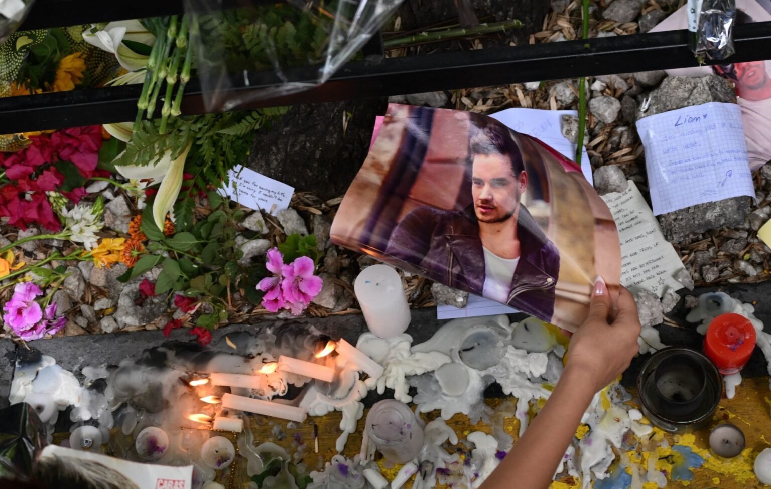 Marcha por justicia para Liam Payne en Argentina: Fans exigen respuestas sobre su muerte Descubren nueva especie de mariposa en la selva amazónica