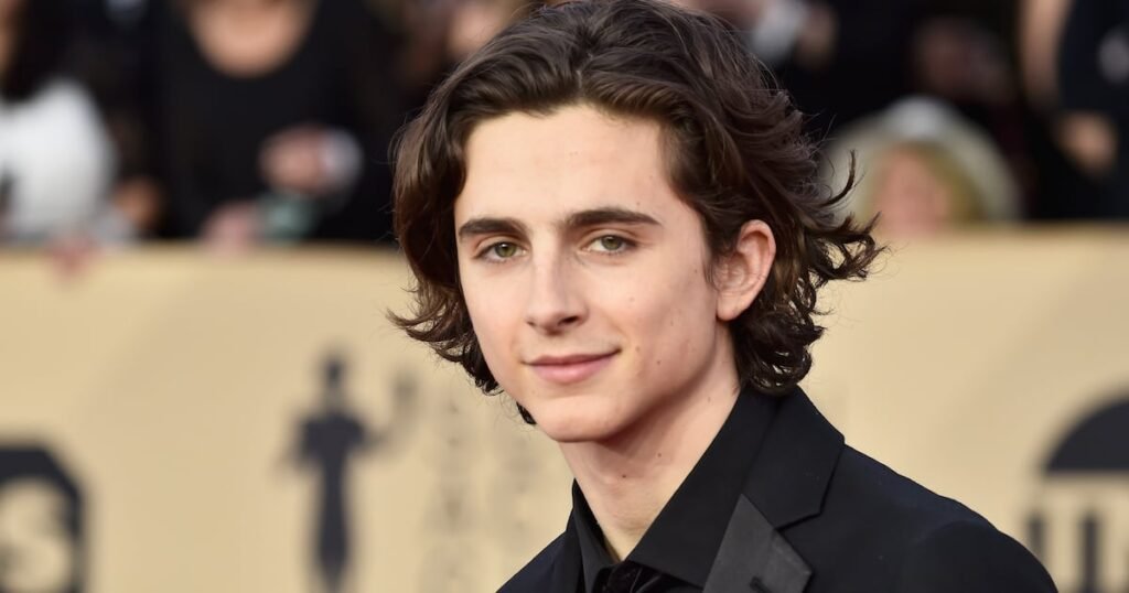 Timothée Chalamet y su interpretación de Bob Dylan en A Complete Unknown: La mejor educación para un joven artista