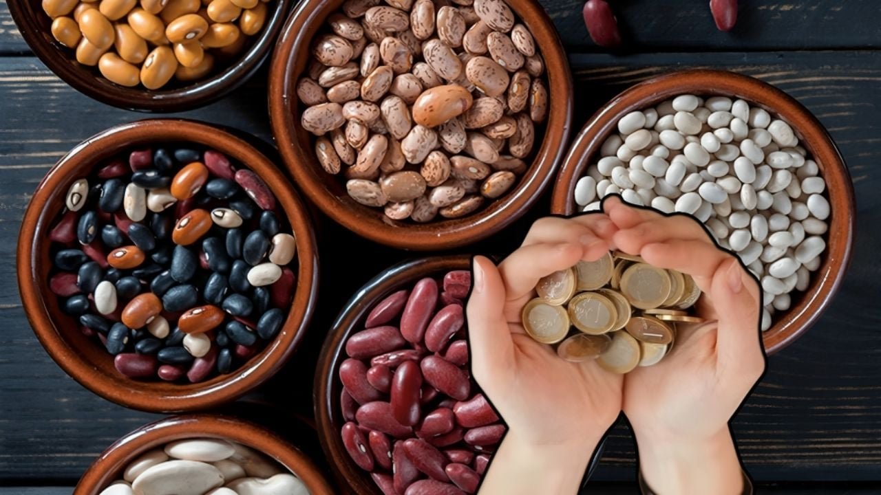 Marcas de frijoles en México: Profeco revela los precios más altos y más  bajos en 2025 - La Magazín