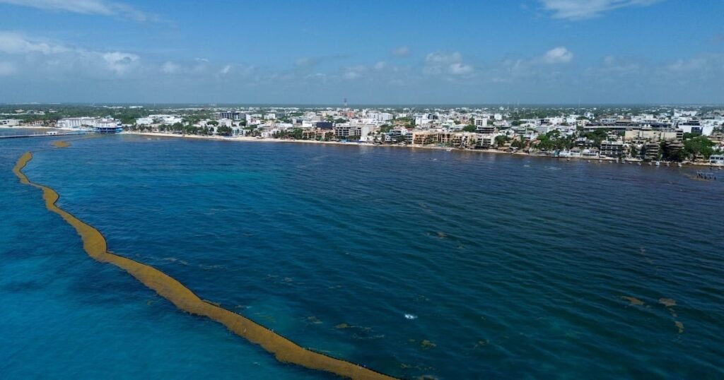 Conagua advierte sobre posible ciclón ‘Andrea’ en el Atlántico, cerca de Quintana Roo