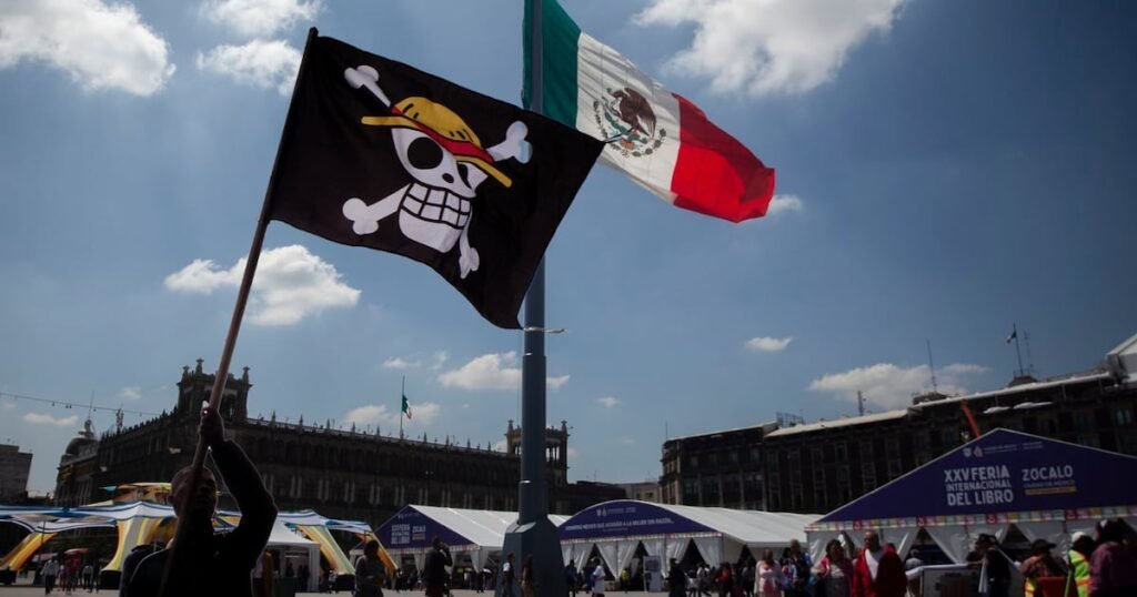 La bandera de ‘One Piece’ en la marcha del 15 de noviembre: ¿Qué simboliza su uso?